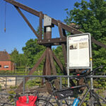 Das Foto zeigt den Großen Kranich von Haltern