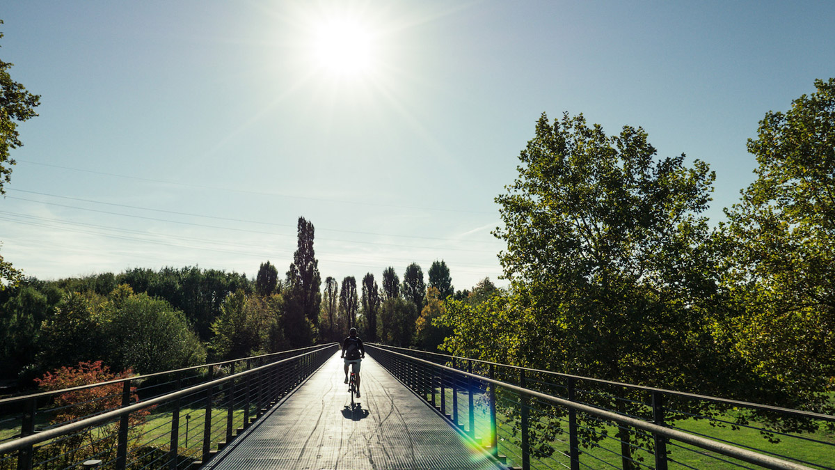 Das Bild zeigt eine Brücke im Nordsternpark