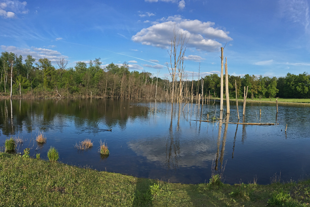 Das Foto zeigt den Pfingstsee in der Kirchheller Heide, an dem die Spargel-Radtour vorbeiführt