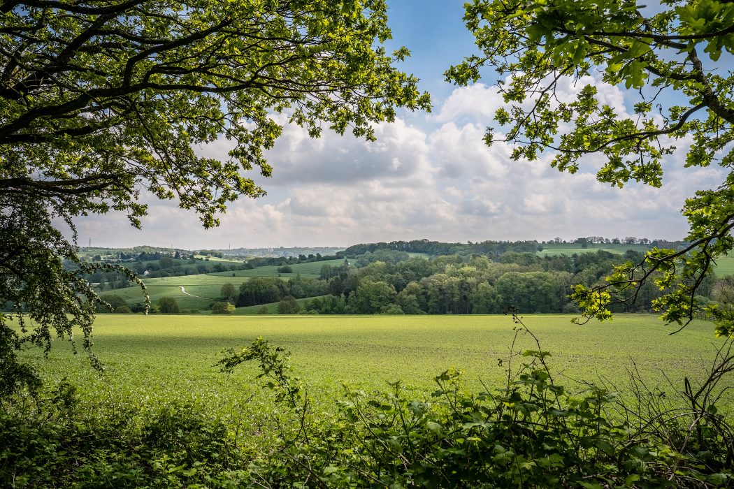 Das Foto zeigt eine schön geschwungene Landschaft im Ruhrgebiet