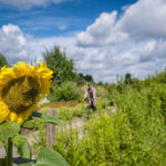 Das Foto zeigt Jochen bei seiner Radtour durch Dortmund auf dem Emscher-Weg