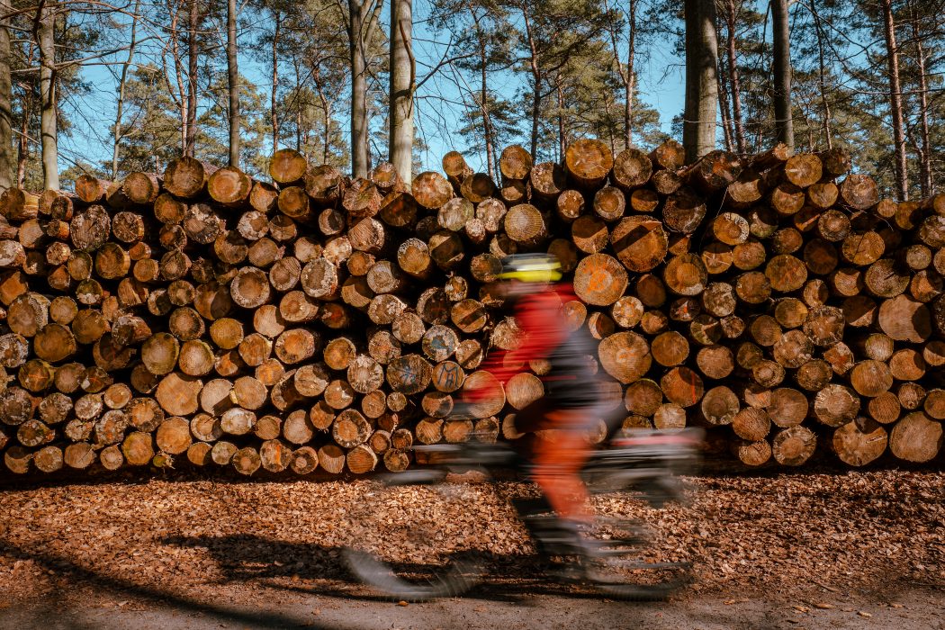 Das Foto zeigt einen Radfahrer in einem Wald im Kreis Wesel