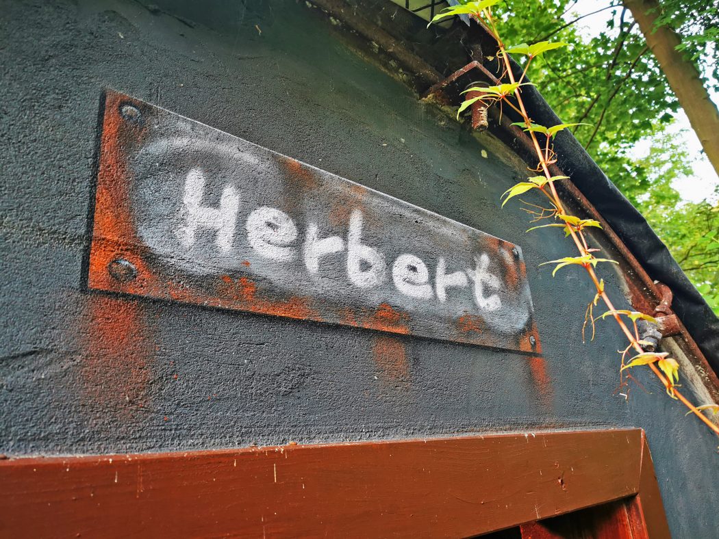 Ein mit dem Wort Herbert besprühtes Metallschild ist an einer dunklen Wand befestigt, an der Ranken emporranken und über der grüne Baumblätter hängen - ein Hinweis auf ein verstecktes Mikroabenteuer im Großstadtdschungel.