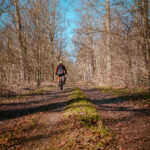 Das Foto zeigt einen Radfahrer in einem Wald im Kreis Wesel