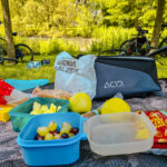 Das Foto zeigt ein Picknick im Schlosspark Weitmar in Bochum