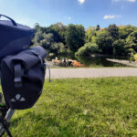 Das Foto zeigt eine Kuh an der Ruhr in Hattingen