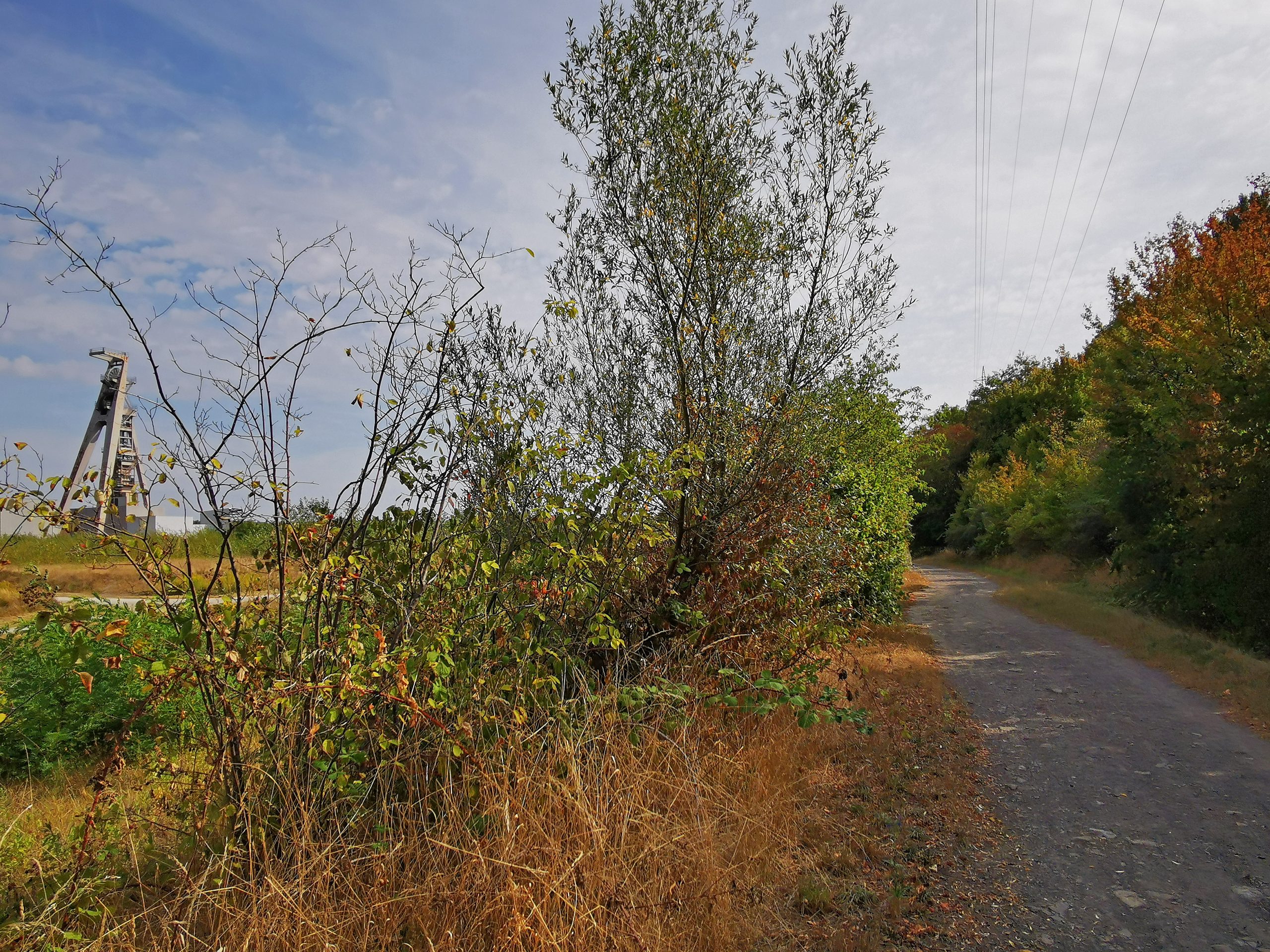 Das Foto zeigt die Zeche Hugo auf der Gravel.Trail.Tour durch die Brauker Alpen