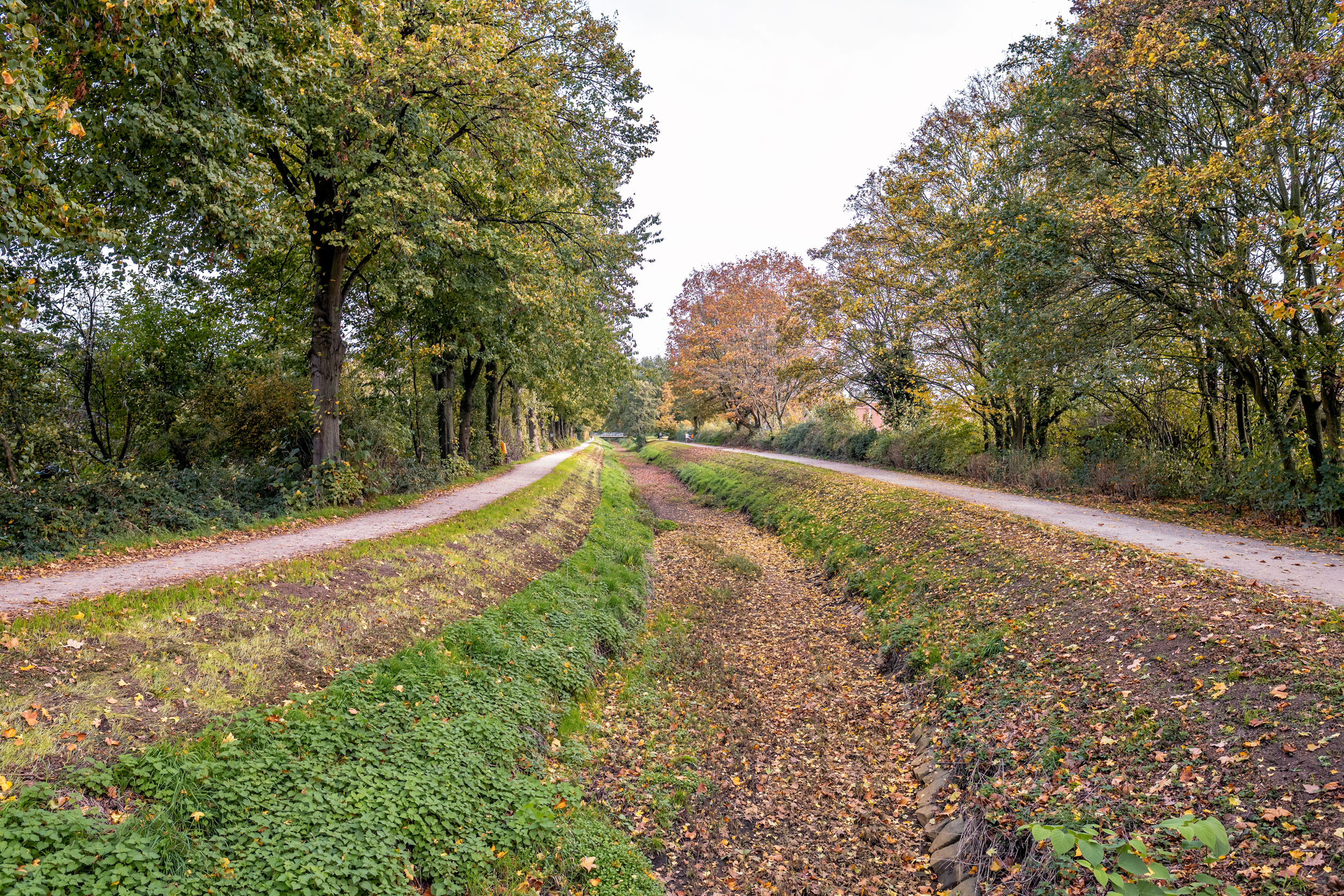 Das Foto zeigt den Rotbachweg in Dinslaken