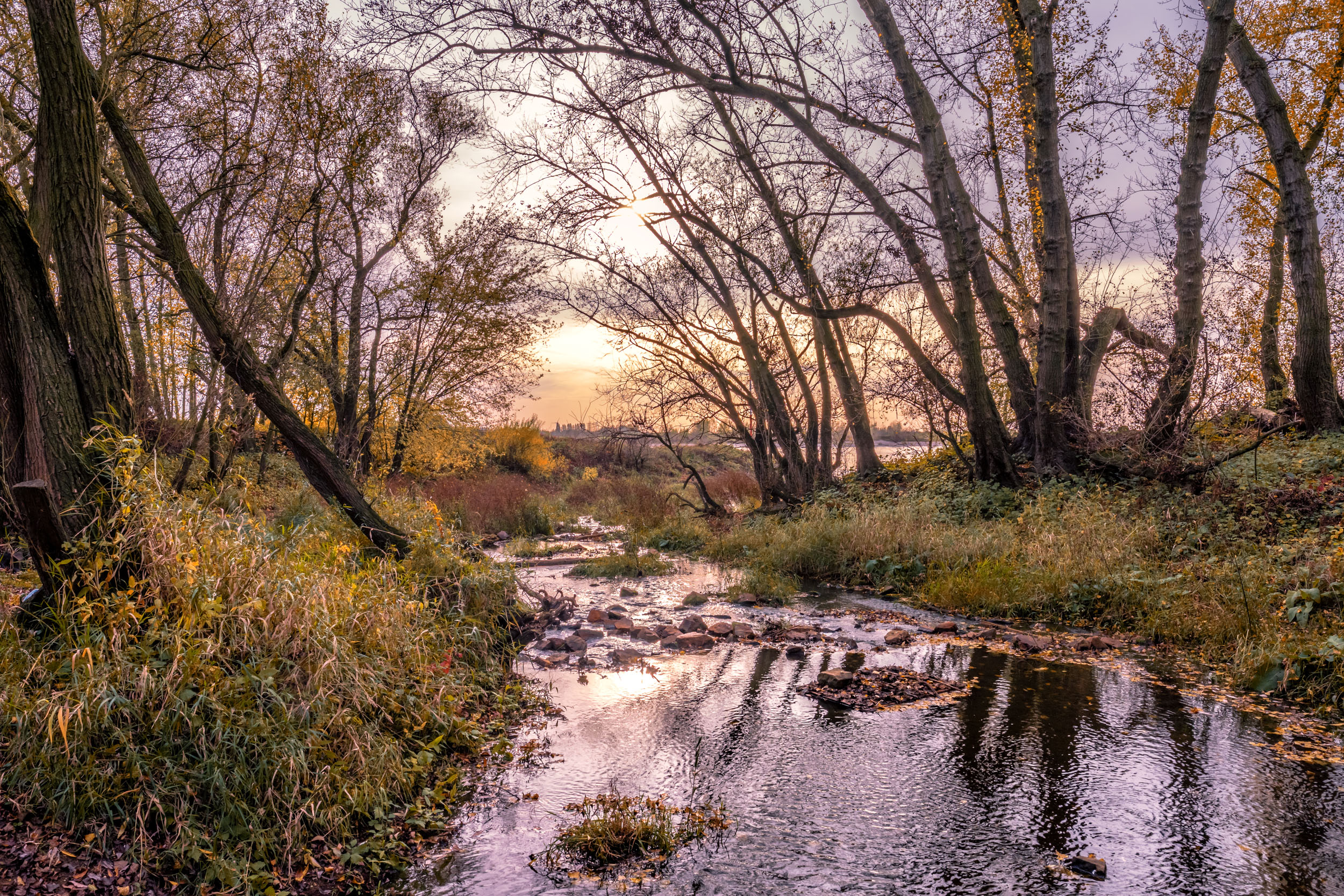 Das Foto zeigt die Rotbachmüdnung in Dinslaken