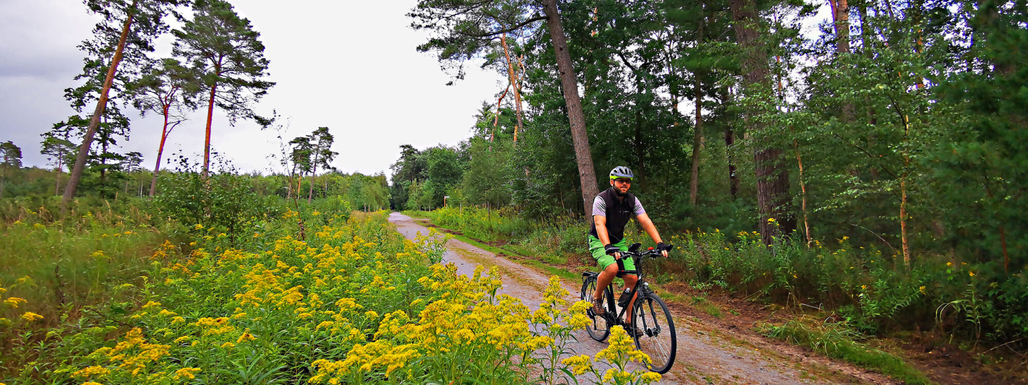 Das Foto zeigt einen Radfahrer in der Haard in Datteln