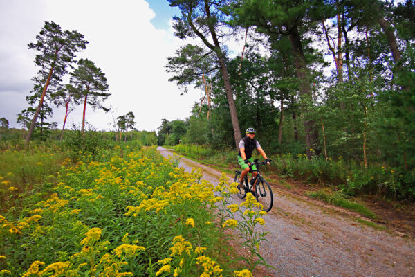 Das Foto zeigt einen Radfahrer in der Haard in Datteln