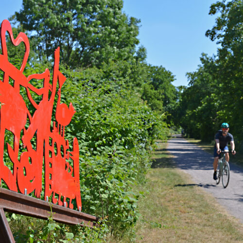 Das Foto zeigt einen Radfahrer auf der Wolfsbahntrasse in Duisburg