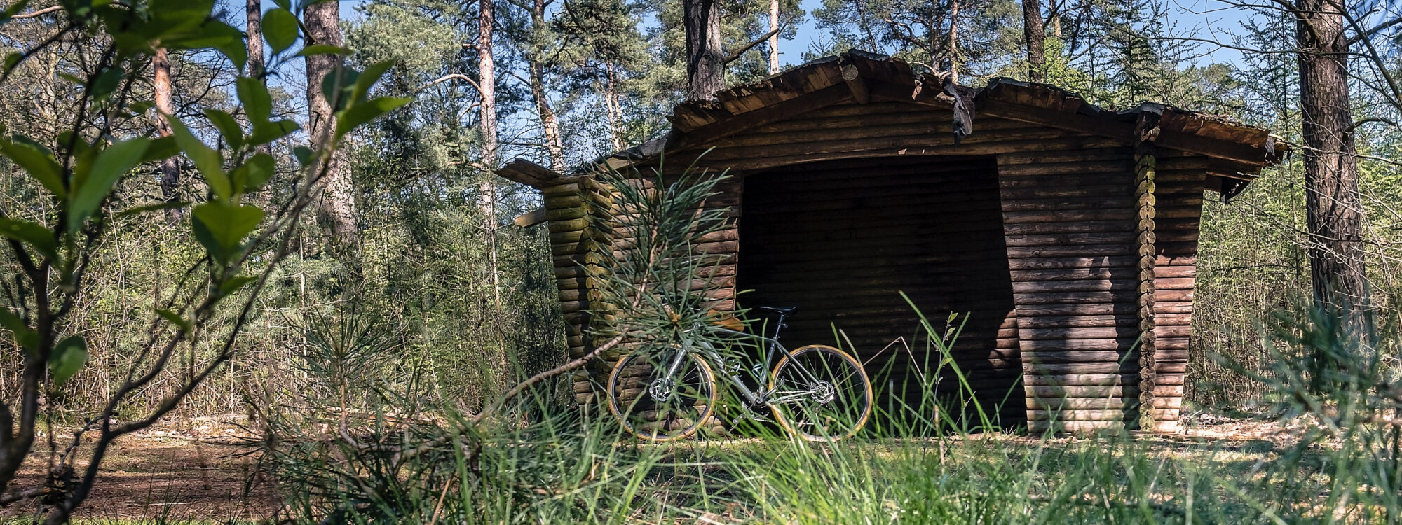 Das Foto zeigt ein Gravelbike bei der Grenzgängertour mit dem Gravelbike im Naturpark Hohe Mark