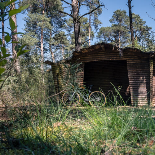 Das Foto zeigt ein Gravelbike bei der Grenzgängertour mit dem Gravelbike im Naturpark Hohe Mark