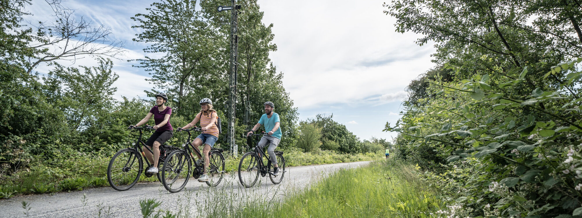 Das Foto zeigt Radfahrende auf der Grugatrasse in Essen auf der RevierRoute Gartenstadt