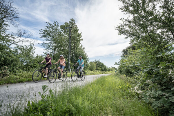 Das Foto zeigt Radfahrende auf der Grugatrasse in Essen auf der RevierRoute Gartenstadt