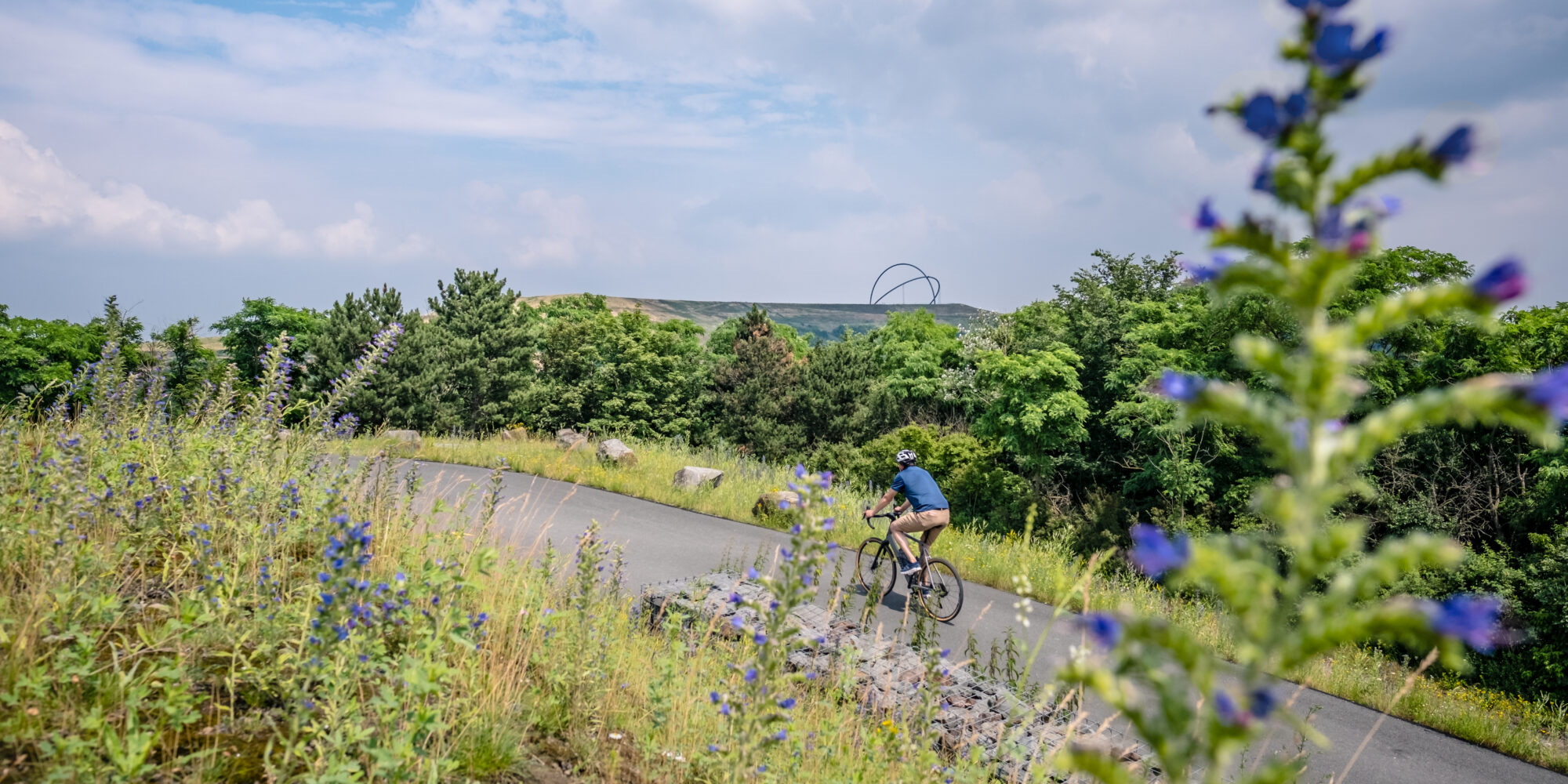 Das Foto zeigt einen Radfahrer bei der RevierRoute Haldenglück mit der Halde Hoheward in Herten im Hintergrund