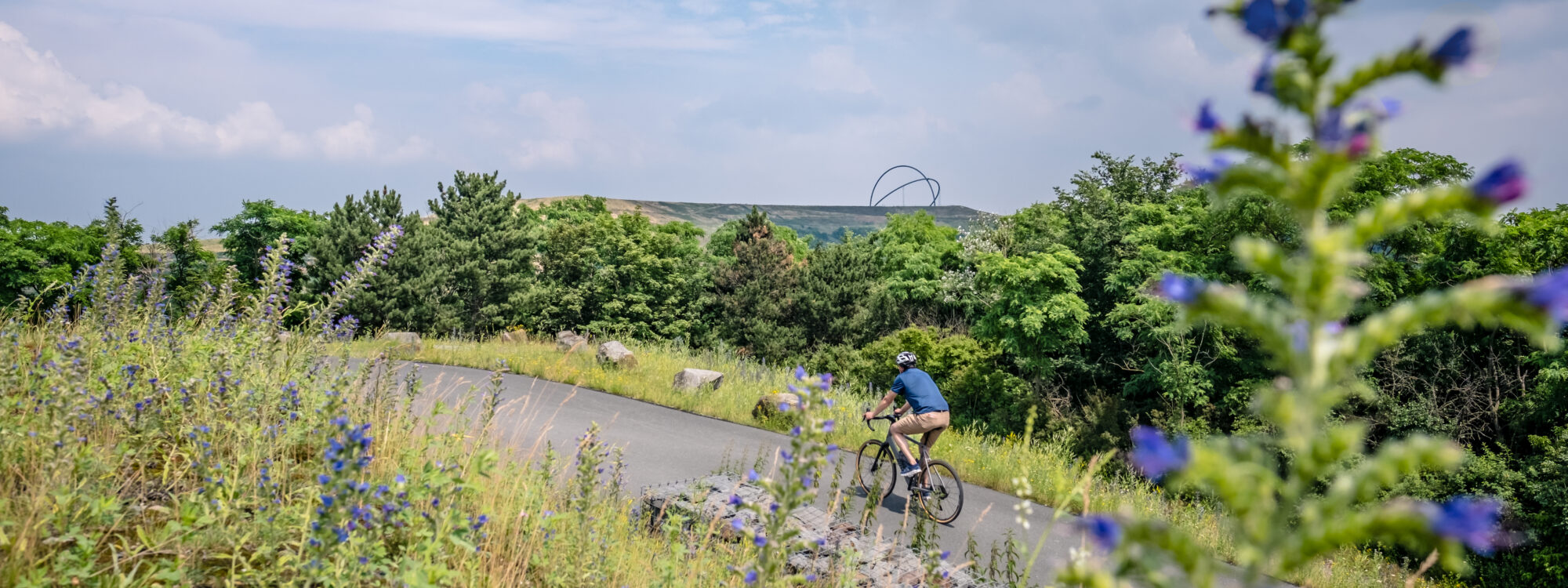 Das Foto zeigt einen Radfahrer bei der RevierRoute Haldenglück mit der Halde Hoheward in Herten im Hintergrund
