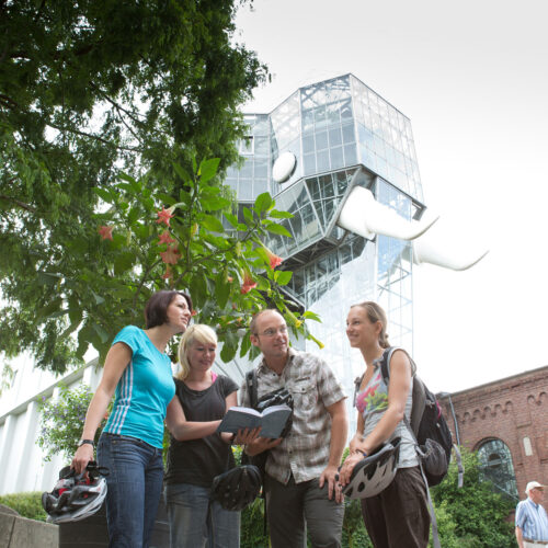 Das Foto zeigt Radfahrende im Maximilianpark Hamm auf der RevierRoute Elefantenrunde