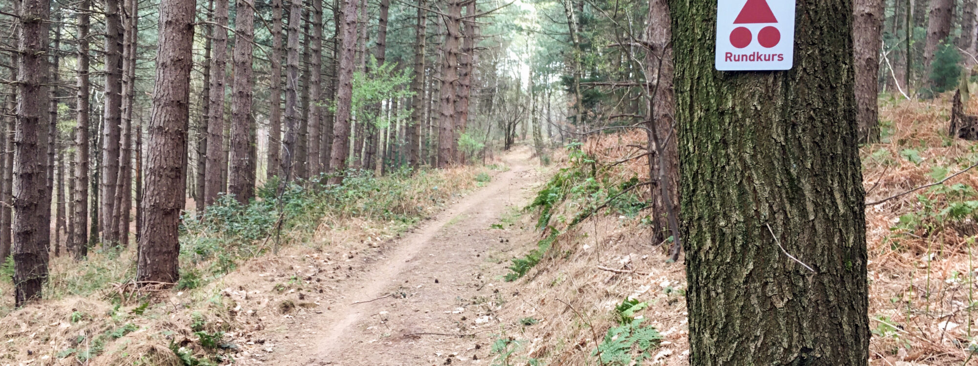 Das Foto zeigt den MTB Trail Haard on Tour