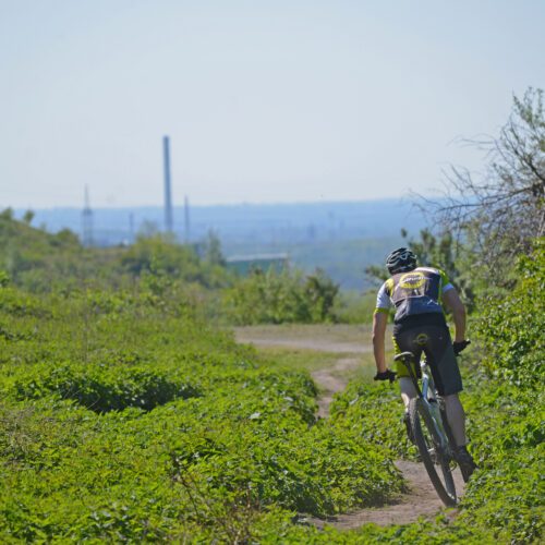 Das Foto zeigt einen Radfahrer auf seinem MTB auf der Halde Hoheward in Herten