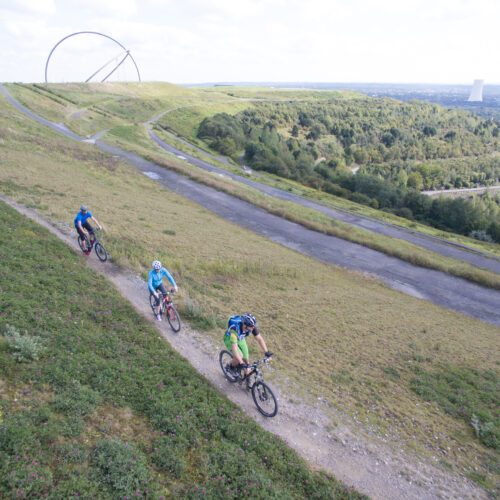 Das Foto zeigt Radfahrende auf ihren MTBs auf dem Crosscountry-Trail Hoheward in Herten