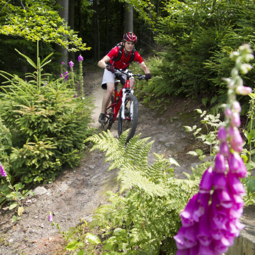 Das Foto zeigt eine Fahrradfahrerin beim Mountainbiken rund um Hagen