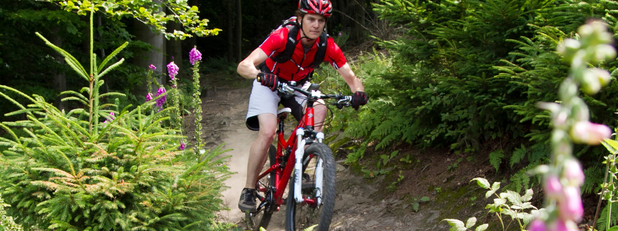 Das Foto zeigt eine Fahrradfahrerin beim Mountainbiken rund um Hagen