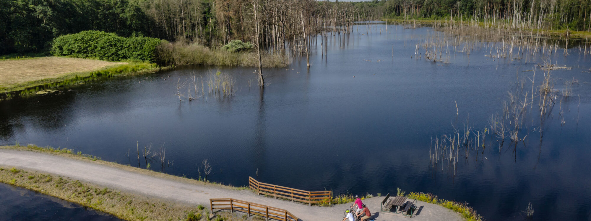 The photo shows cyclists on the Pfingstsee in the Kirchheller Heide in Bottrop on the RevierRoute Landpartie