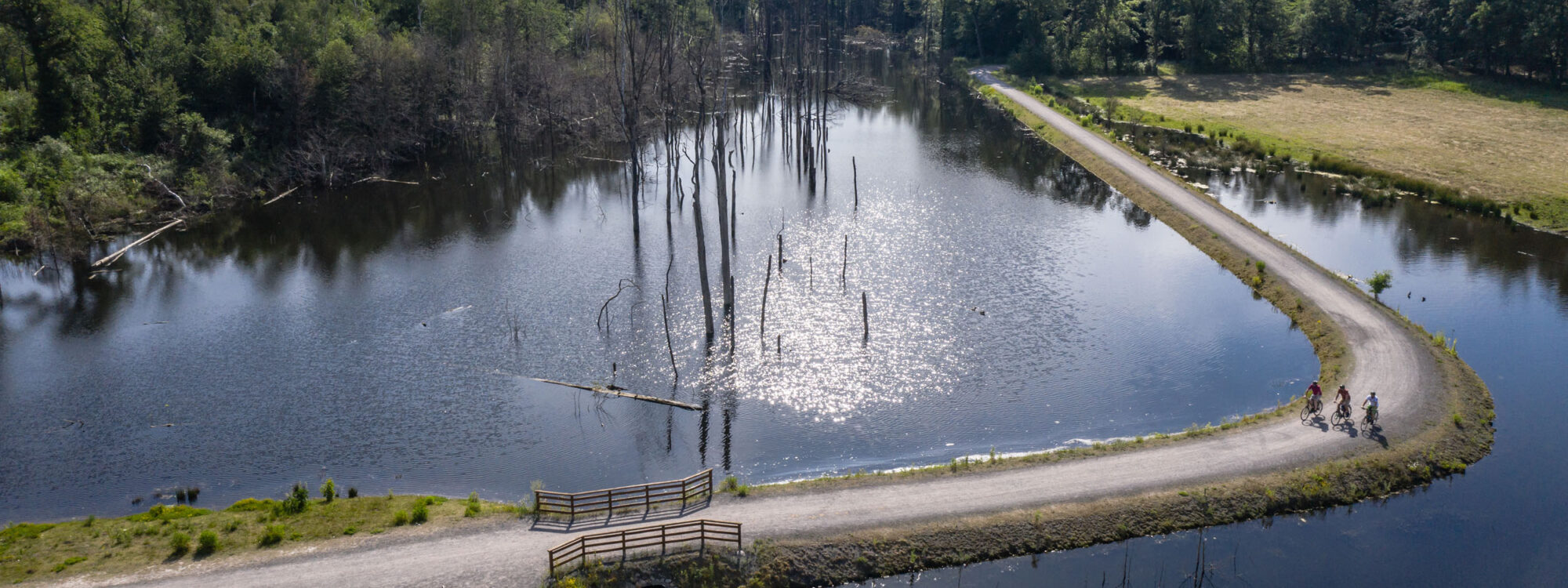 Das Foto zeigt Radfahrer am Pfingstsee in der Kirchheller Heide in Bottrop bei der RevierRoute Landpartie