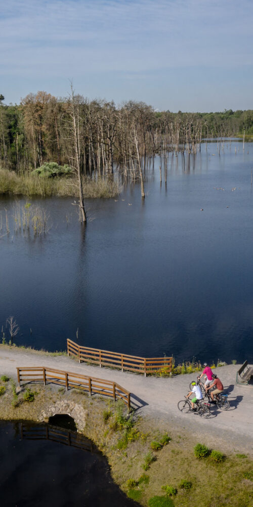 Das Foto zeigt Radfahrer am Pfingstsee in der Kirchheller Heide in Bottrop bei der RevierRoute Landpartie