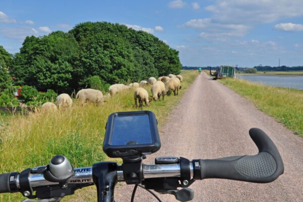 Das Foto zeigt ein Fahrrad auf dem Rheindamm in Duisburg