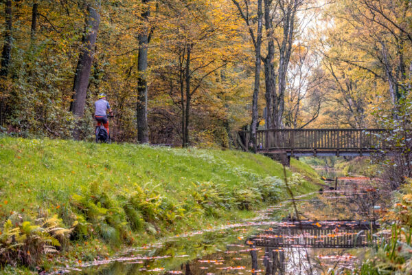 Das Foto zeigt einen Radfahrer auf der Rotbachroute in Dinslaken