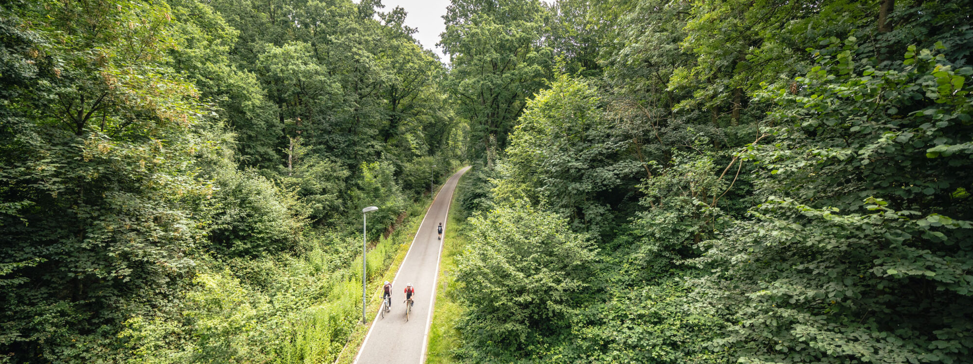 Das Foto zeigt Radfahrende auf der Springorumtrasse in Bochum auf der RevierRoute Bahngeschichte(n)