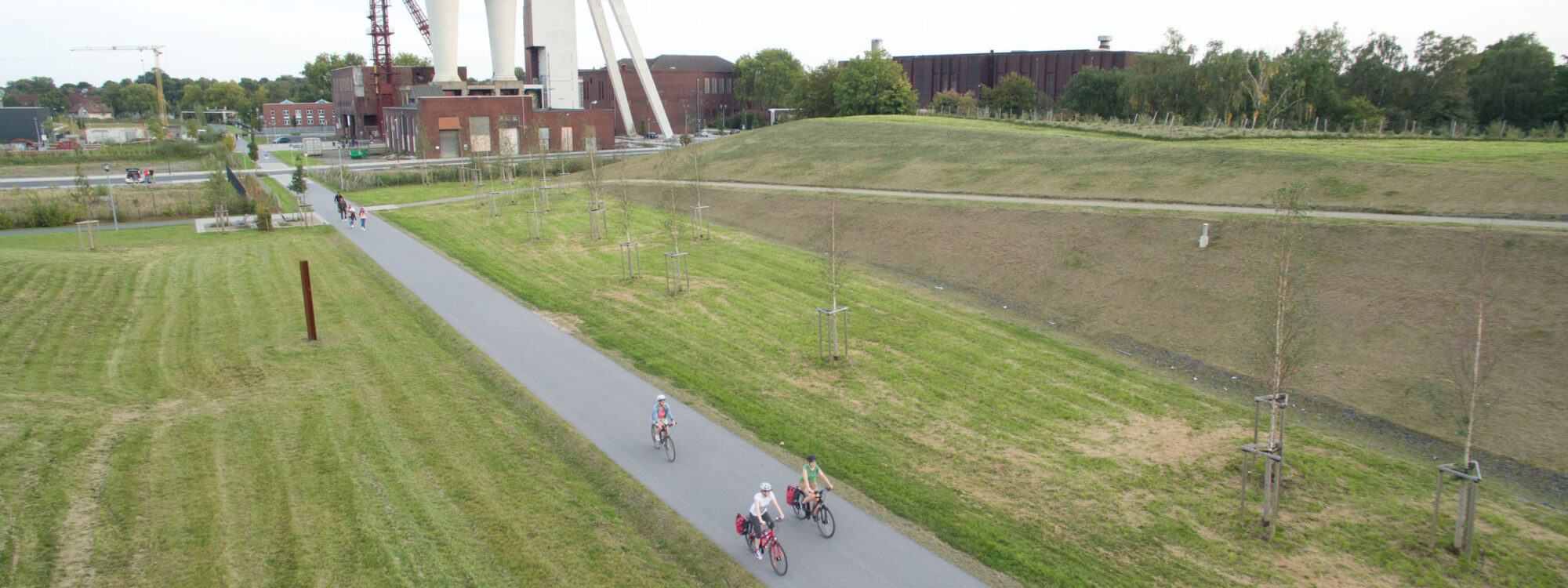 Das Foto zeigt Radfahrende beim Bahntrassenradeln auf der Allee des Wandels in Herten