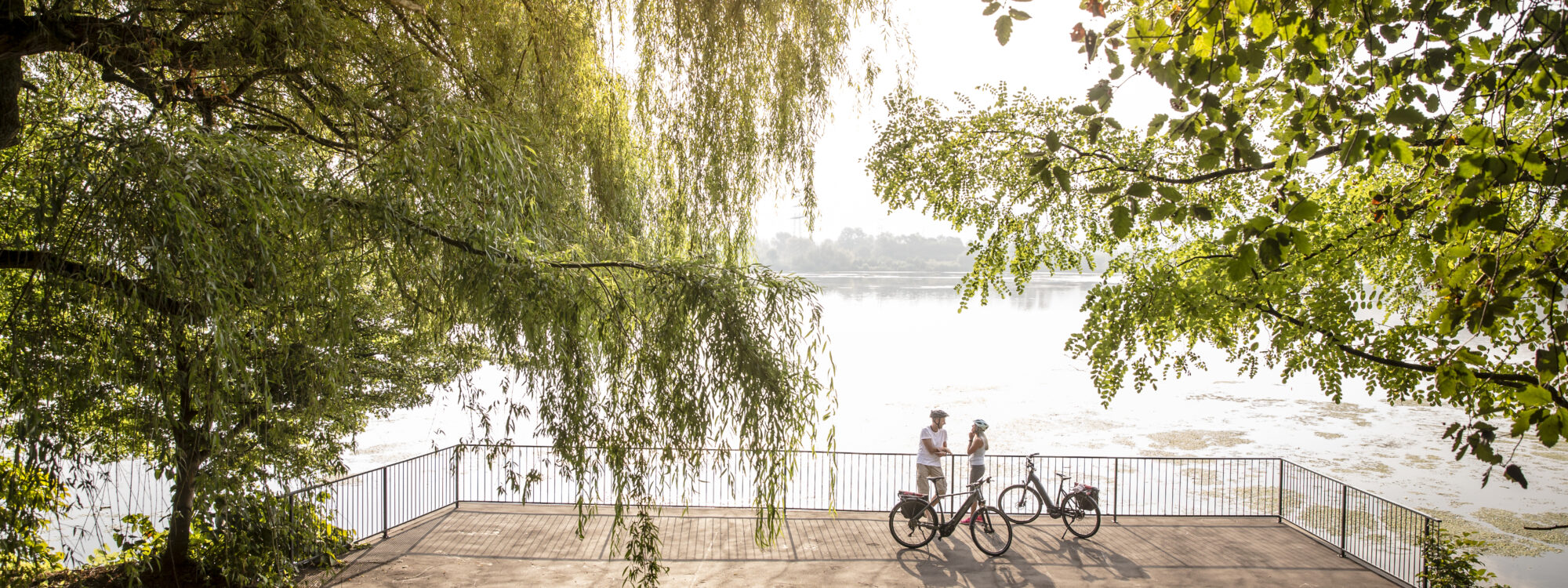 Das Foto zeigt Radfahrende auf dem RuhrtalRadweg am Harkortsee in Wetter