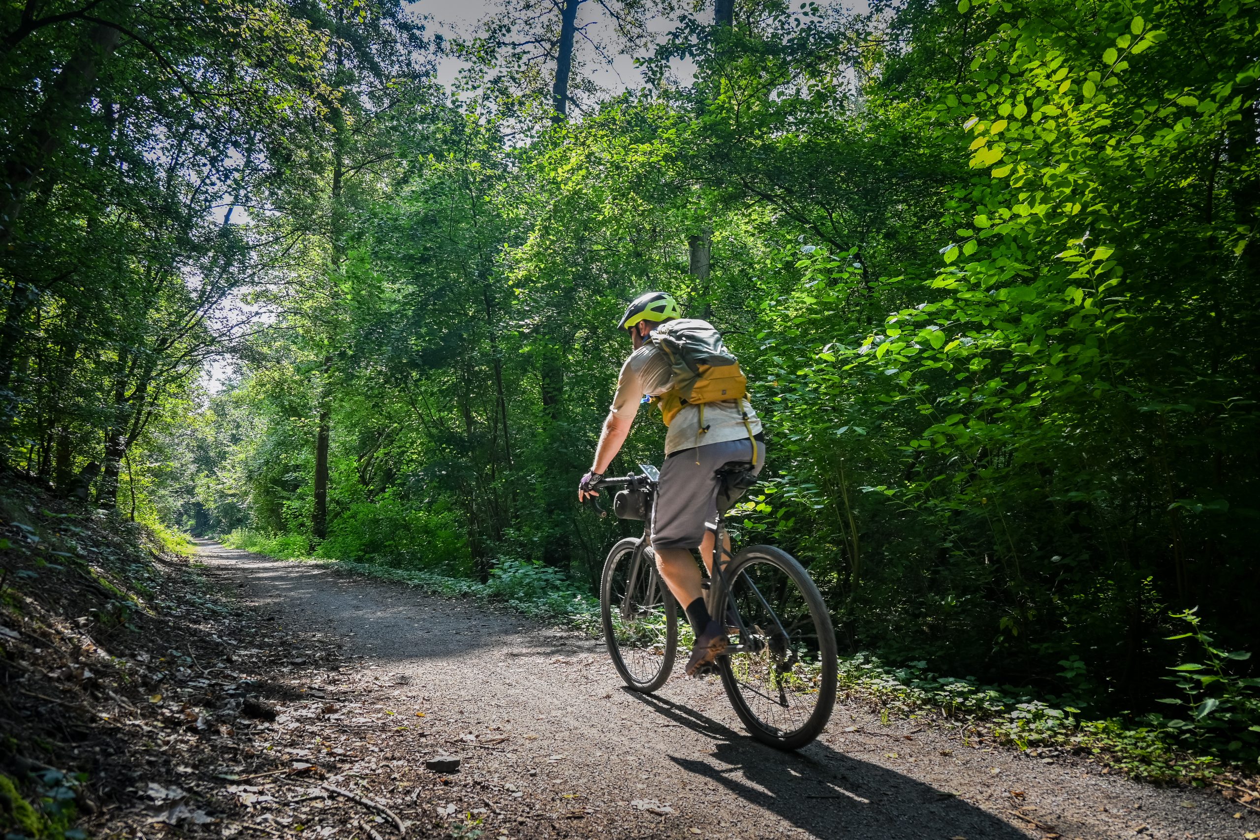 Das Bild zeigt ein Gravel Bike im Wald