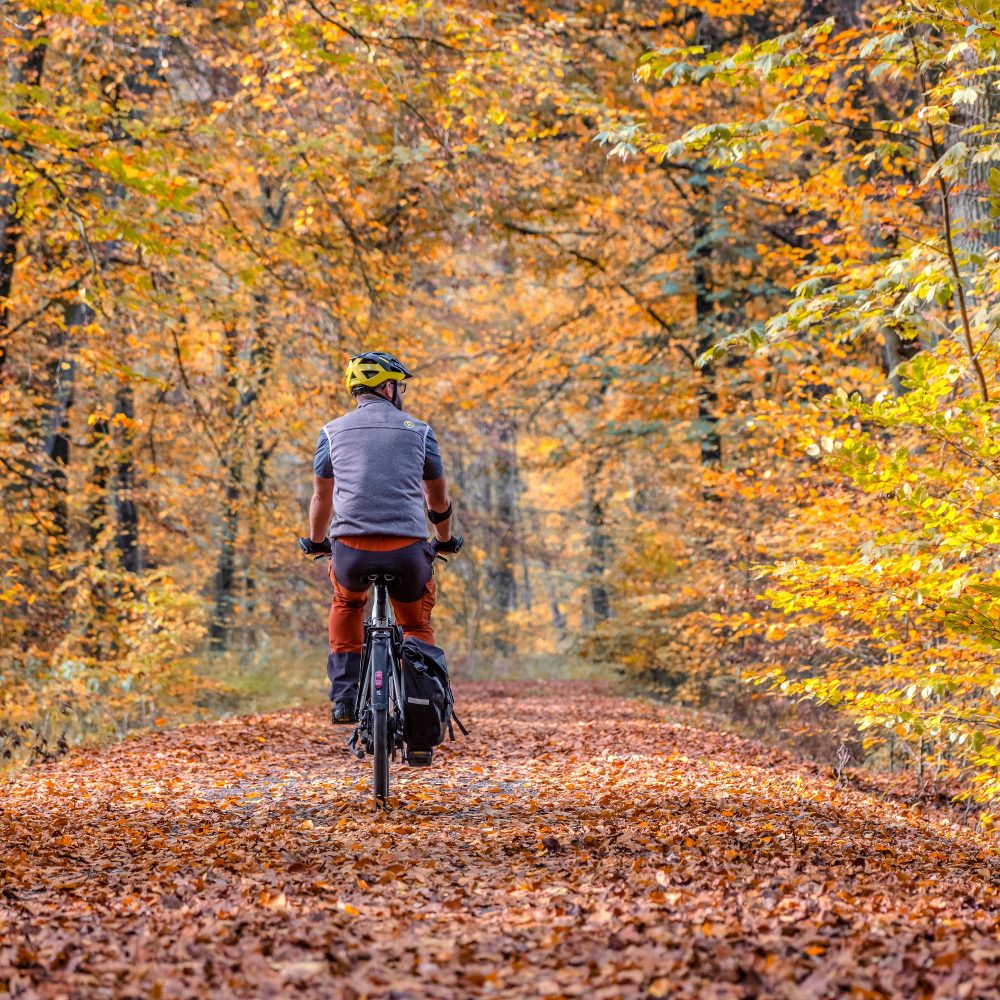Das Foto zeigt einen Radfahrer auf der Rotbachroute Bottrop beim Radeln der RevierRoute RuheRäume