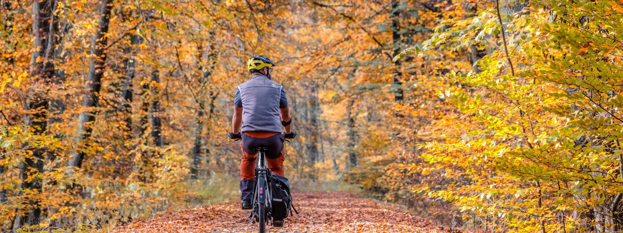 Das Foto zeigt einen Radfahrer auf der Rotbachroute Bottrop beim Radeln der RevierRoute RuheRäume