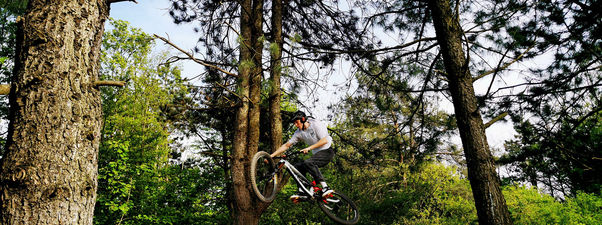 Das Foto zeigt einen Radfahrer auf seinem Mountainbike auf dem MTB Enduro-Trail auf der Halde Hoppenbruch