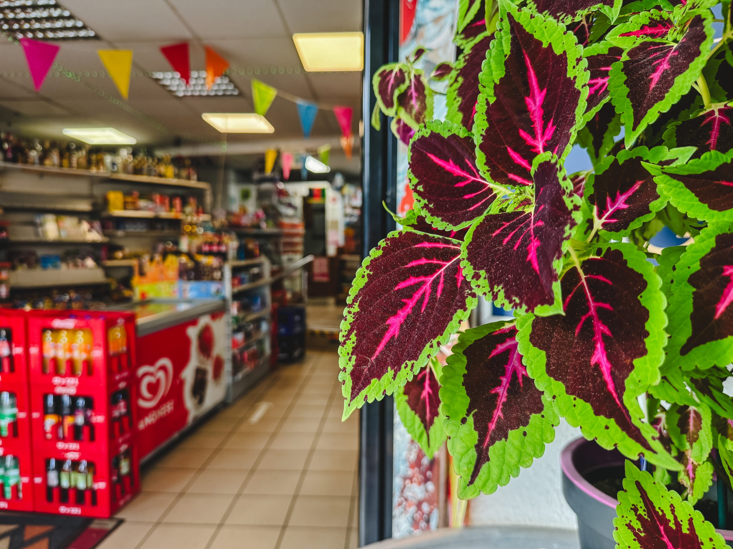 Das Foto zeigt den Kiosk Crengeldanz in Witten einer Tag der Trinkhallen Radtour
