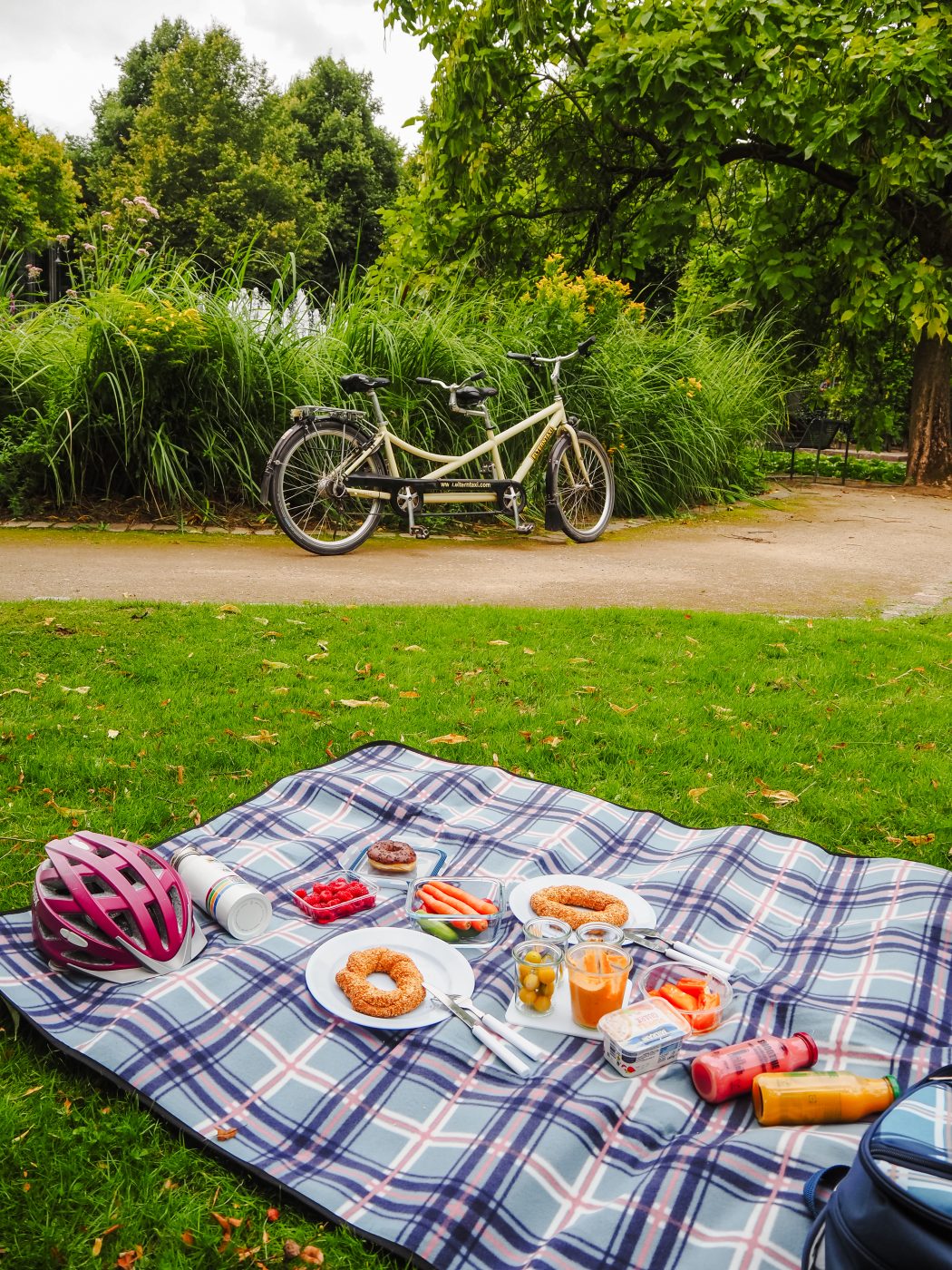 Ein Picknick auf einer karierten Decke mit Essen, Getränken und einem rosafarbenen Fahrradhelm im Gras, mit einem Tandemfahrrad und üppigen grünen Bäumen im Hintergrund.