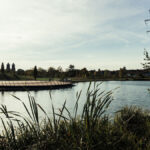 Das Bild zeigt den Krupp-Park in Essen