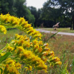 Das Foto zeigt einen Park auf der Gravel.Trail.Tour durch die Brauker Alpen