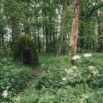 Eine Grenzgängertour in den Kreis Warendorf