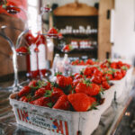 Eine Grenzgängertour in den Kreis Warendorf