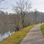 Das Foto zeigt den Treidelpfad an der Ruhr, ein Stück des RuhrtalRadwegs, der im radrevier.ruhr zum Baldeneysee nach Essen führt.