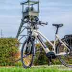 Das Foto zeigt das ROSE XTRA WATT im Olga Park in Oberhausen