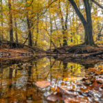 Das Foto zeigt den Rotbach in Bottrop